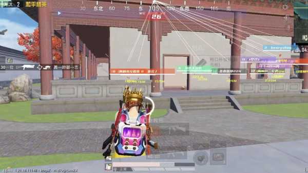 和平精英辅助得类型分为那些